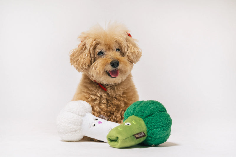 P.L.A.Y |  Picked Fresh Veggie Munch Duo - Plush Dog Toy