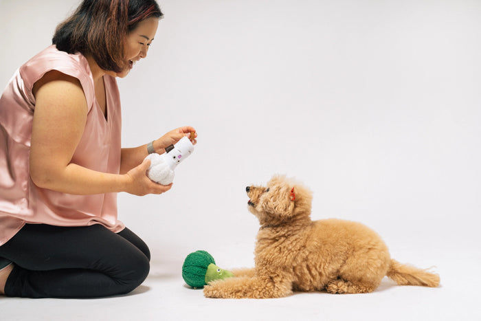 P.L.A.Y |  Picked Fresh Veggie Munch Duo - Plush Dog Toy