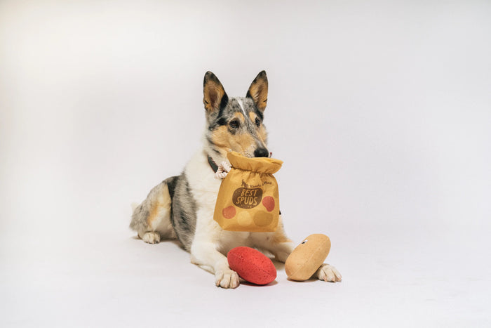 P.L.A.Y |  Picked Fresh Potato Pals - Plush Dog Toy