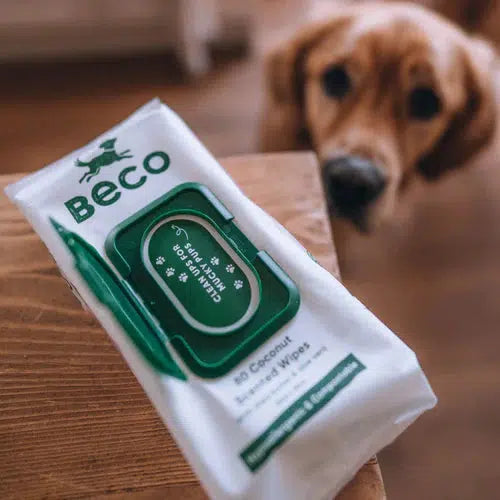 Beco - Bamboo Dog Wipes- Coconut-Beco-Love My Hound