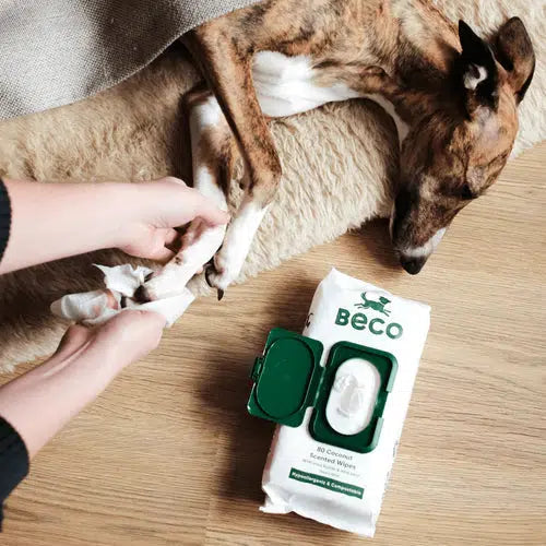 Beco - Bamboo Dog Wipes- Coconut-Beco-Love My Hound