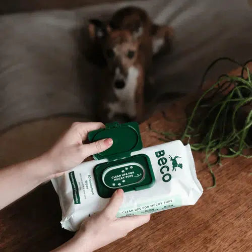 Beco - Bamboo Dog Wipes- Unscented-Beco-Love My Hound