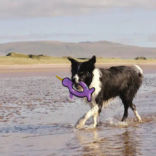 Beco - Recycled Rough & Tough - Nelly the Narwhal Dog Toy-beco-Love My Hound