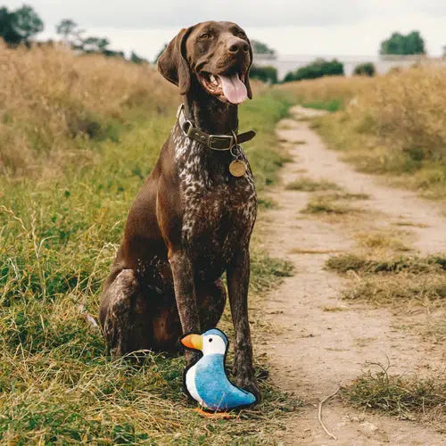 Beco - Recycled Rough & Tough - Paloma the Puffin Dog Toy-Beco-Love My Hound