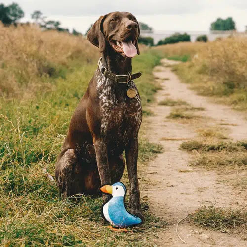 Beco - Recycled Rough & Tough - Paloma the Puffin Dog Toy-beco-Love My Hound