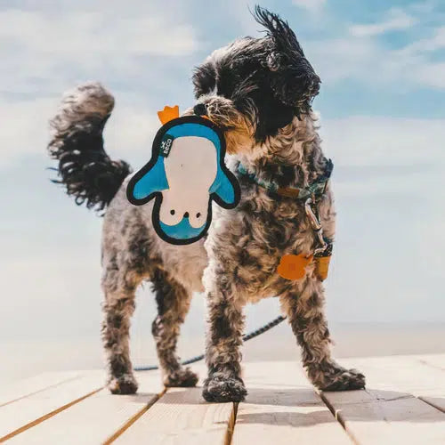 Beco - Recycled Rough & Tough - Peggy the Penguin Dog Toy-Beco-Love My Hound