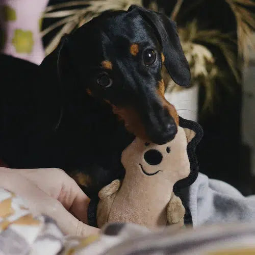 Beco - Recycled Rough & Tough - Quinn the Quokka Dog Toy-Beco-Love My Hound