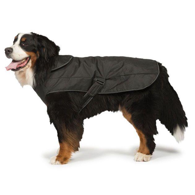Danish Design - 2-in-1 Harness Dog Coat - Black-Danish Design-Love My Hound