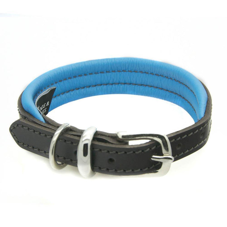 Dogs & Horses Padded Leather Dog Collar - Blue & Brown