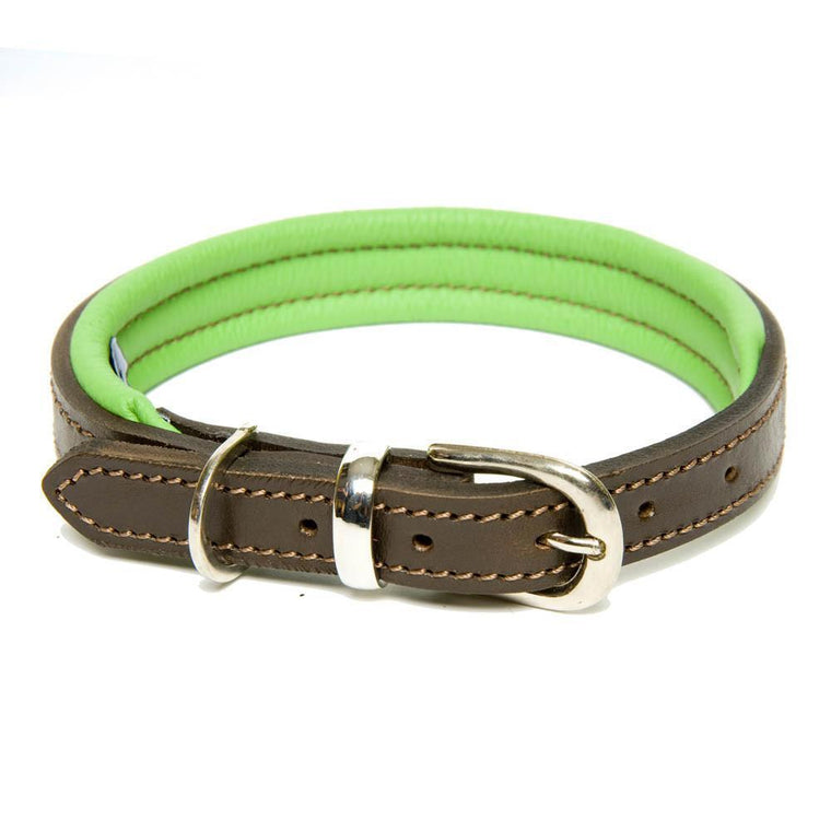 Dogs & Horses Padded Leather Dog Collar -  Green & Brown