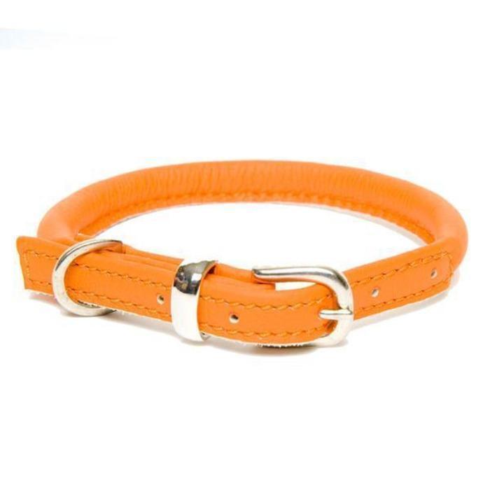 Dogs & Horses Rolled Leather Dog Collar - Orange