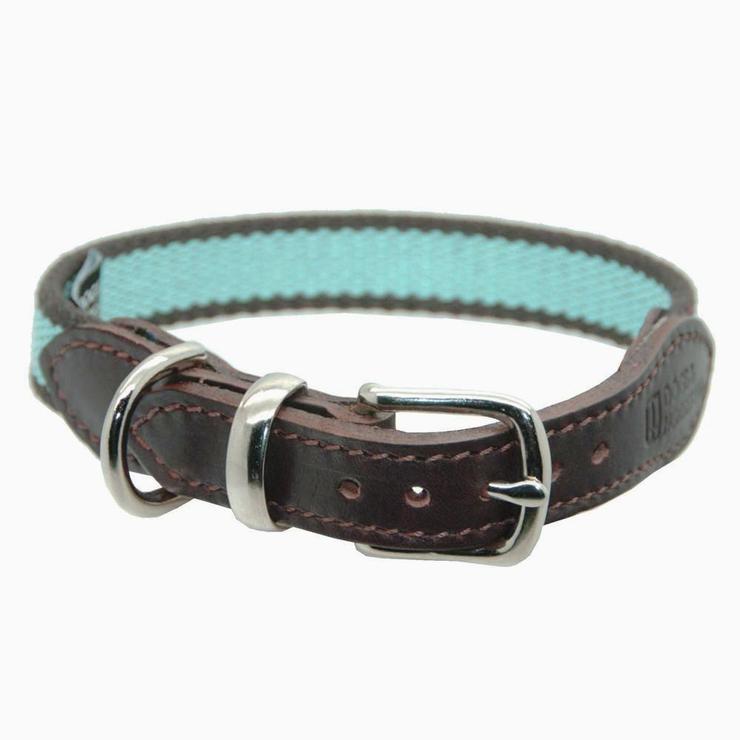 Dogs & Horses - Striped Cotton Webbing Dog Collar - Brown & Blue