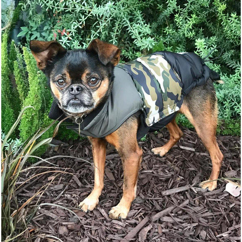 Fabdog | Camo Colour Block Dog Puffa Jacket-Fabdog-Love My Hound