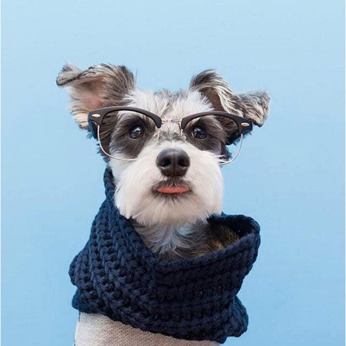 Fabdog | Infinity Dog Scarves - Navy-Fabdog-Love My Hound