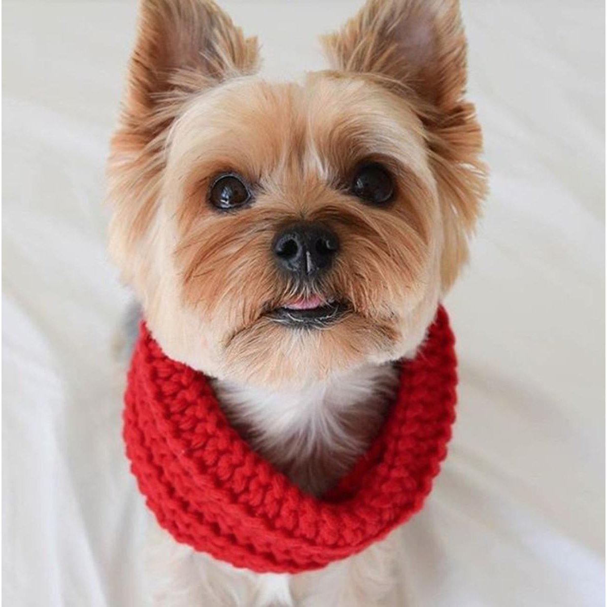 Fabdog | Infinity Dog Scarves - Red-Fabdog-Love My Hound