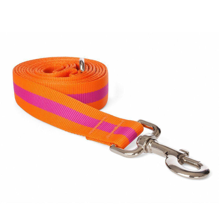 Fabdog - Stripe Lead Orange