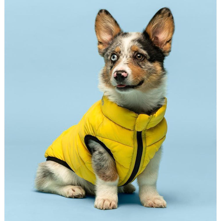 Fabdog - Yellow & Grey - 'Pack N' Go' Reversible Dog Puffer Jacket