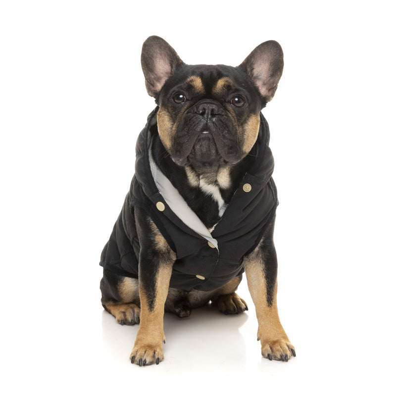 FuzzYard | Aspen Dog Jacket - Black-FuzzYard-Love My Hound