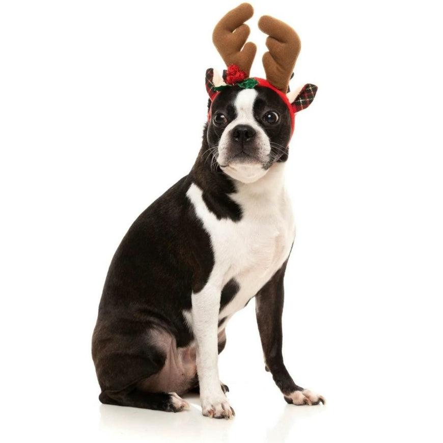 FuzzYard - Christmas Reindeer Antlers-FuzzYard-Love My Hound