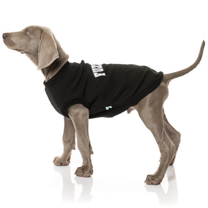 FuzzYard - College Sweater - Dog Jumper Black-FuzzYard-Love My Hound