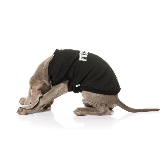FuzzYard | College Sweater - Dog Jumper Black-FuzzYard-Love My Hound