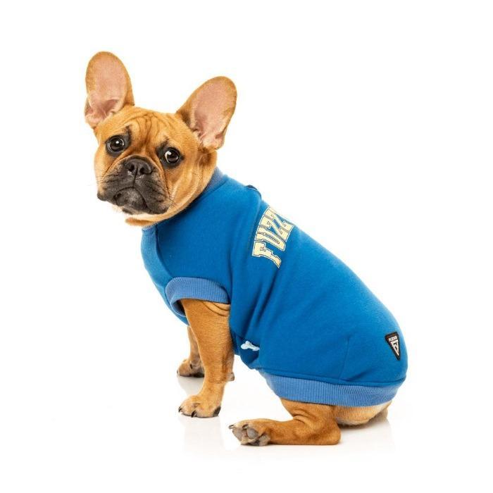 FuzzYard - College Sweater - Dog Jumper Blue-FuzzYard-Love My Hound
