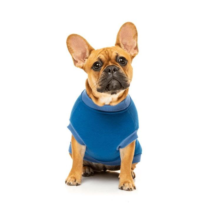 FuzzYard | College Sweater - Dog Jumper Blue-FuzzYard-Love My Hound