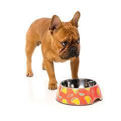 FuzzYard Dog Bowl - Tacos-FuzzYard-Love My Hound