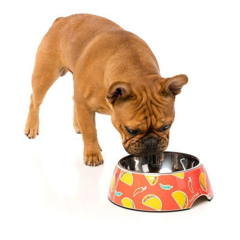 FuzzYard Dog Bowl - Tacos-FuzzYard-Love My Hound