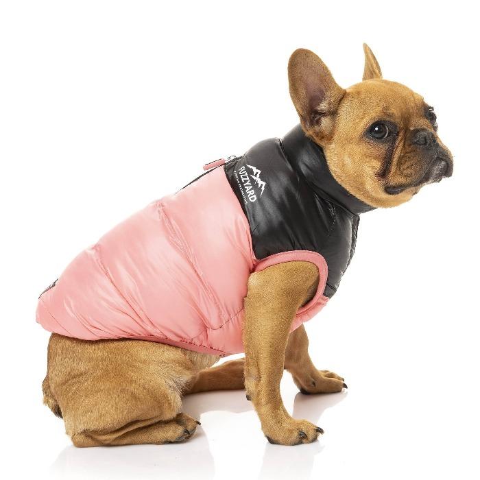 Pink dog jacket hotsell