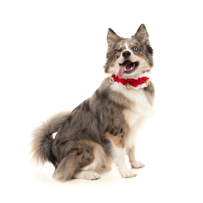 FuzzYard | Jingle Bells - Christmas Dog Collar-FuzzYard-Love My Hound
