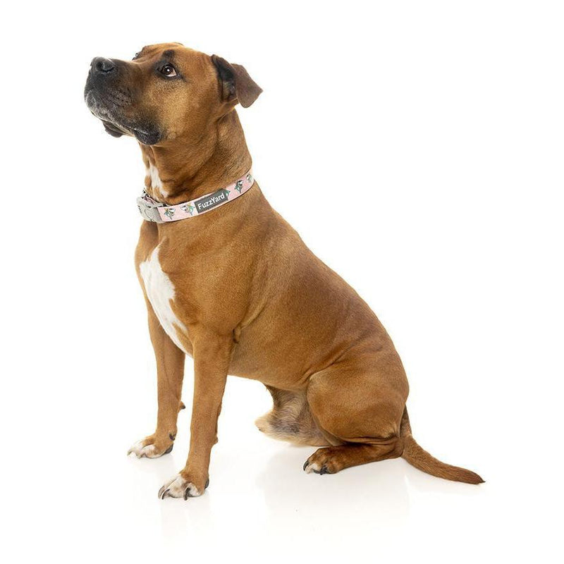 FuzzYard | LL Cool Jaws - Dog Collar-FuzzYard-Love My Hound