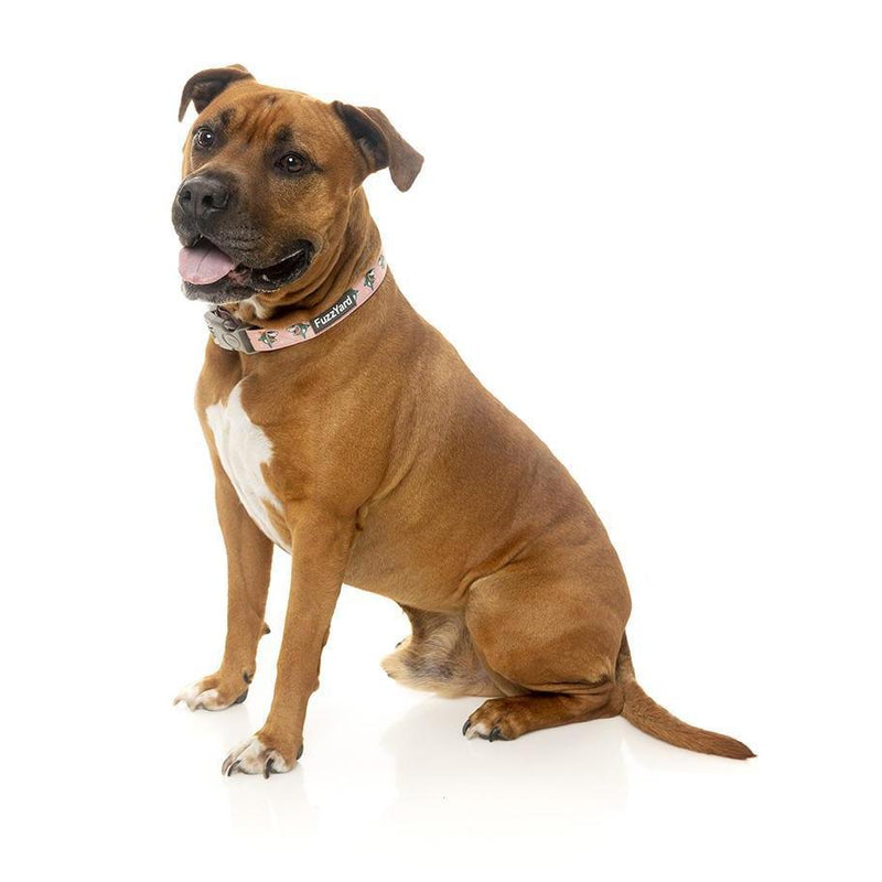 FuzzYard | LL Cool Jaws - Dog Collar-FuzzYard-Love My Hound