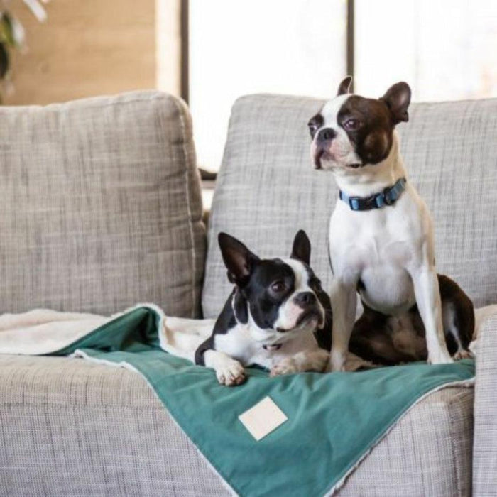 FuzzYard Life - Comforter Blanket - Myrtle Green-FuzzYard Life-Love My Hound