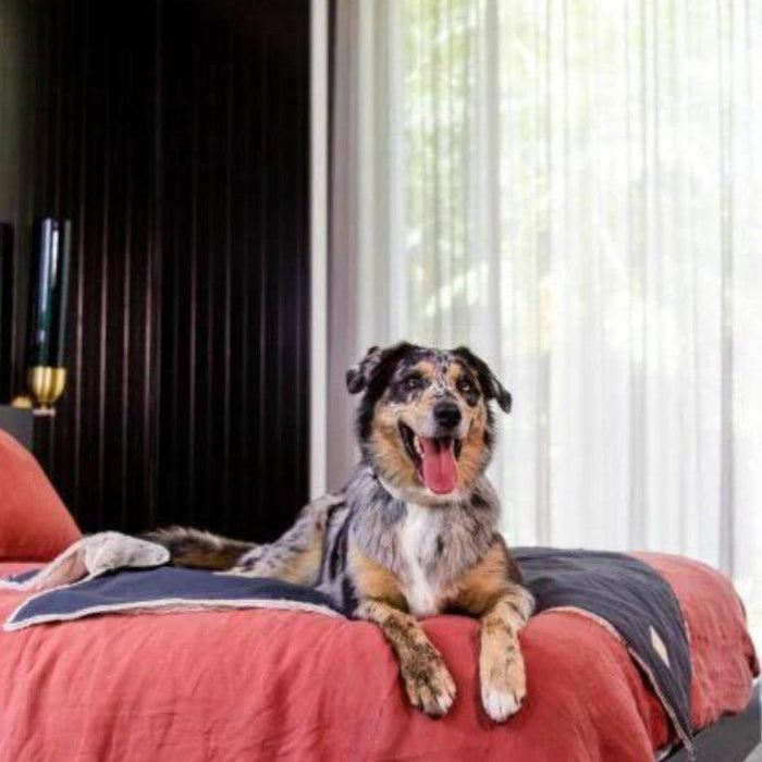 FuzzYard Life Comforter Blanket - Slate Grey-FuzzYard Life-Love My Hound