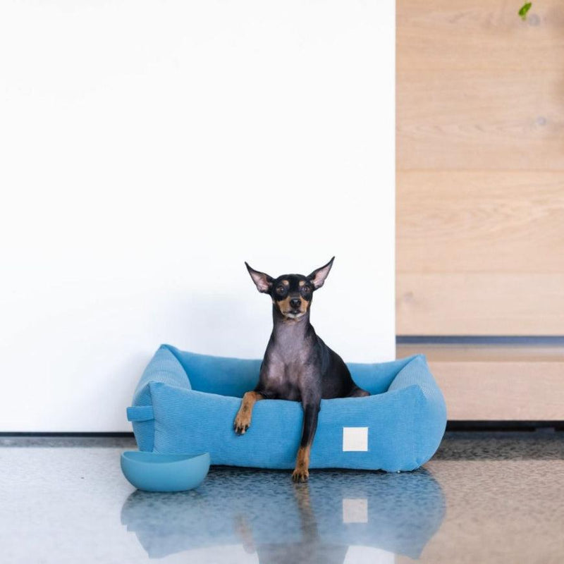 FuzzYard Life Corduroy Bed - French Blue-FuzzYard Life-Love My Hound