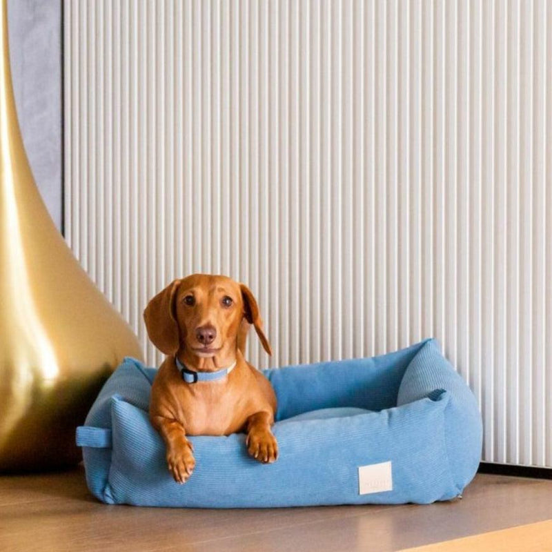 FuzzYard Life Corduroy Bed - French Blue-FuzzYard Life-Love My Hound