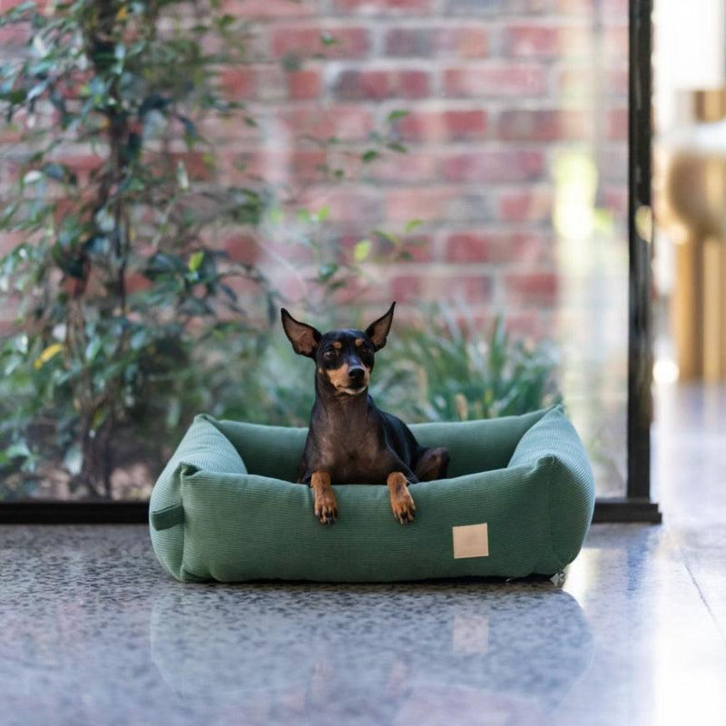 FuzzYard Life Corduroy Bed - Myrtle Green-FuzzYard Life-Love My Hound