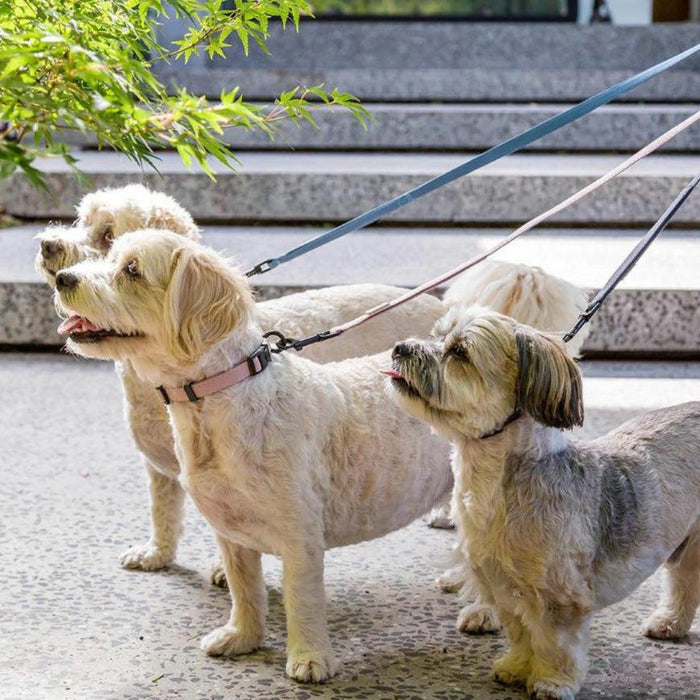 FuzzYard Life - Dog Collar - Slate Grey-FuzzYard Life-Love My Hound