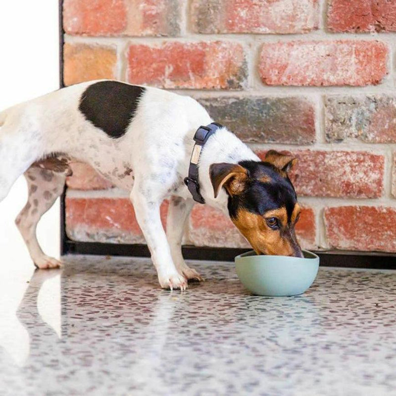 FuzzYard Life - Silicone Bowl - Slate Grey-FuzzYard Life-Love My Hound