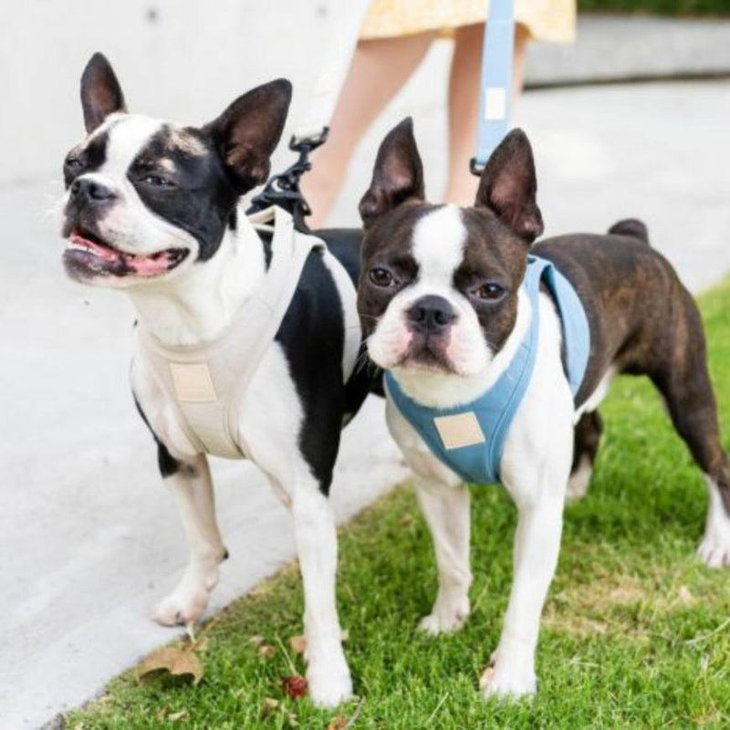 FuzzYard Life - Step-In Harness - Myrtel Green-FuzzYard Life-Love My Hound