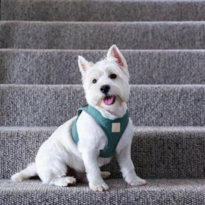 FuzzYard Life - Step-In Harness - Myrtel Green-FuzzYard Life-Love My Hound
