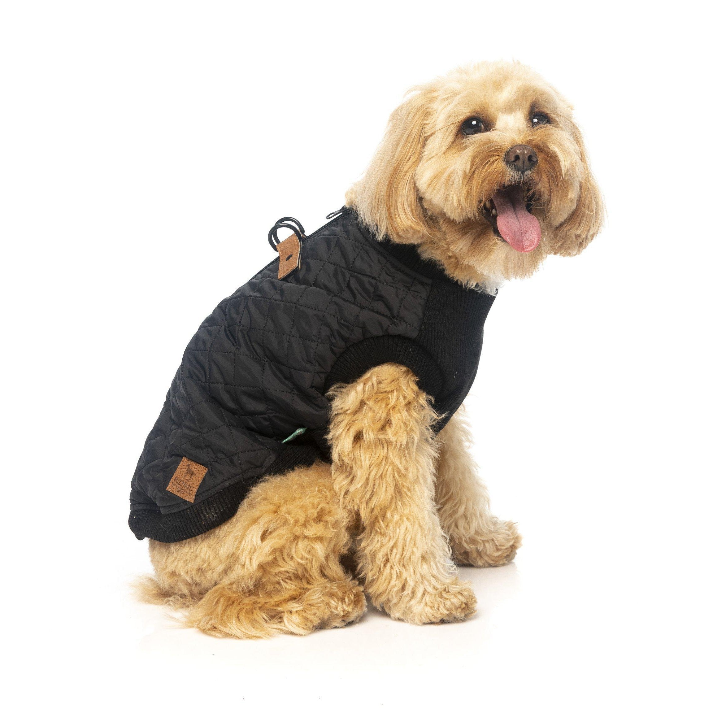 FuzzYard - MacGyver Harness Dog Jacket - Black-FuzzYard-Love My Hound