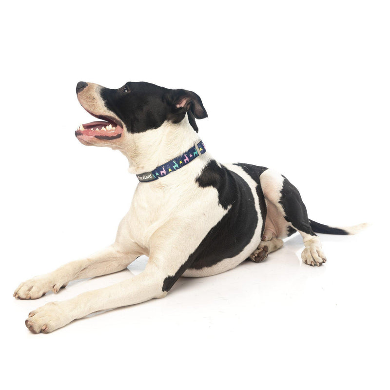 FuzzYard | No Probllama - Dog Collar-FuzzYard-Love My Hound