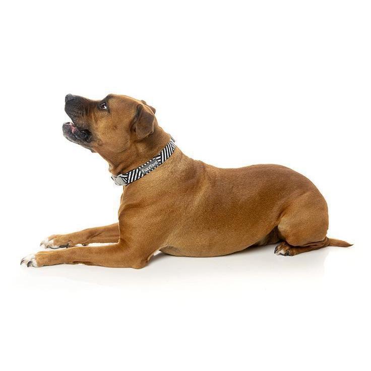 FuzzYard | Northcote - Dog Collar-FuzzYard-Love My Hound