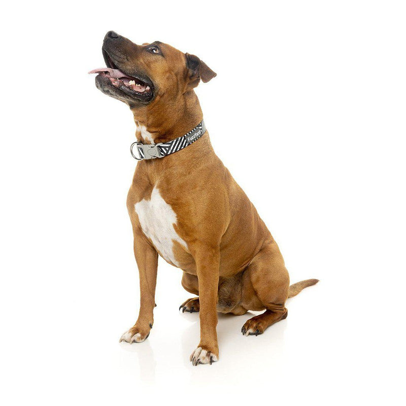 FuzzYard | Northcote - Dog Collar-FuzzYard-Love My Hound
