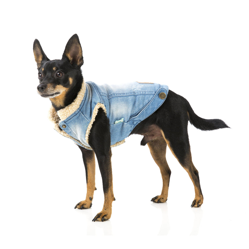 FuzzYard | Rebel Dog Denim Jacket-FuzzYard-Love My Hound