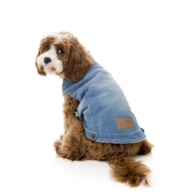 FuzzYard | Rebel Dog Denim Jacket-FuzzYard-Love My Hound