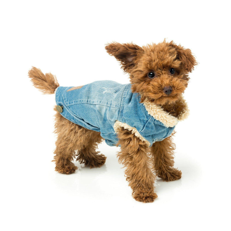 FuzzYard | Rebel Dog Denim Jacket-FuzzYard-Love My Hound