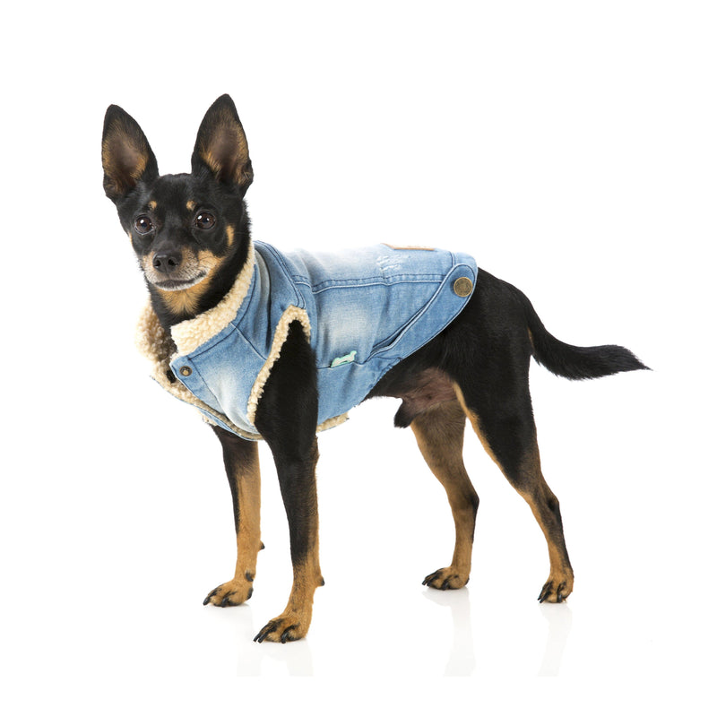 FuzzYard | Rebel Dog Denim Jacket-FuzzYard-Love My Hound